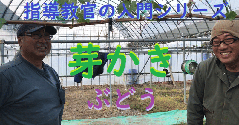 動画のまとめノート 芽かき ぶどうの栽培入門 １０ 雷農大 らいのうだい Note