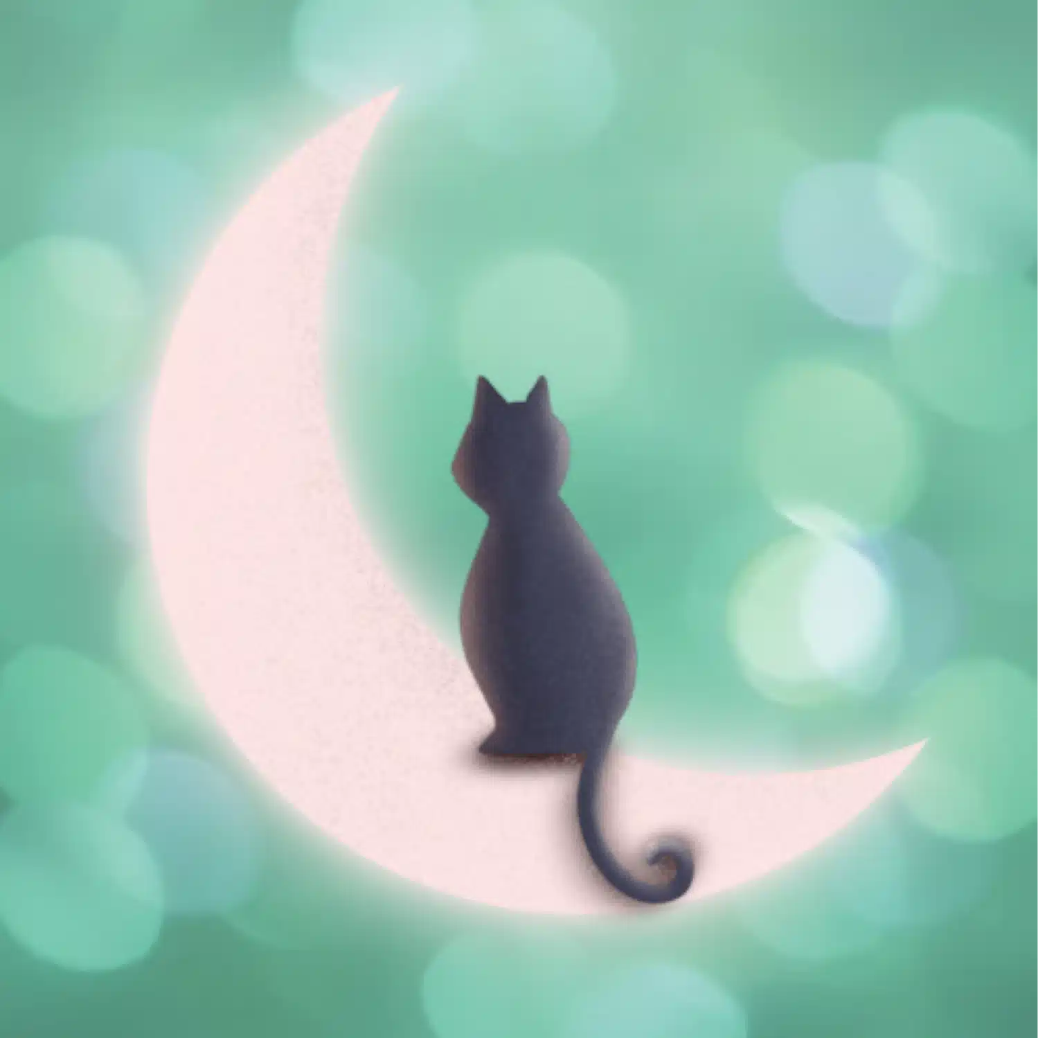 ねこメロ🐾