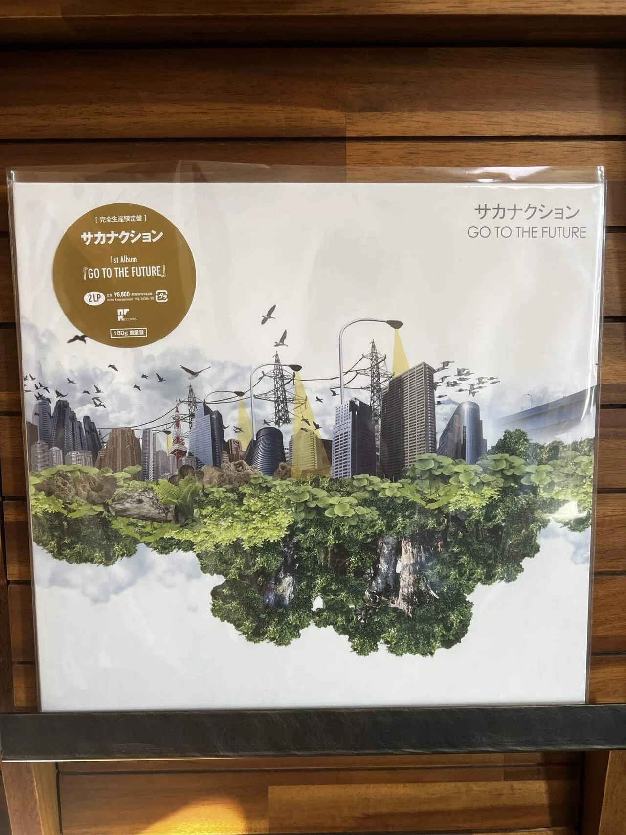 レコード サカナクション GO TO THE FUTURE LP