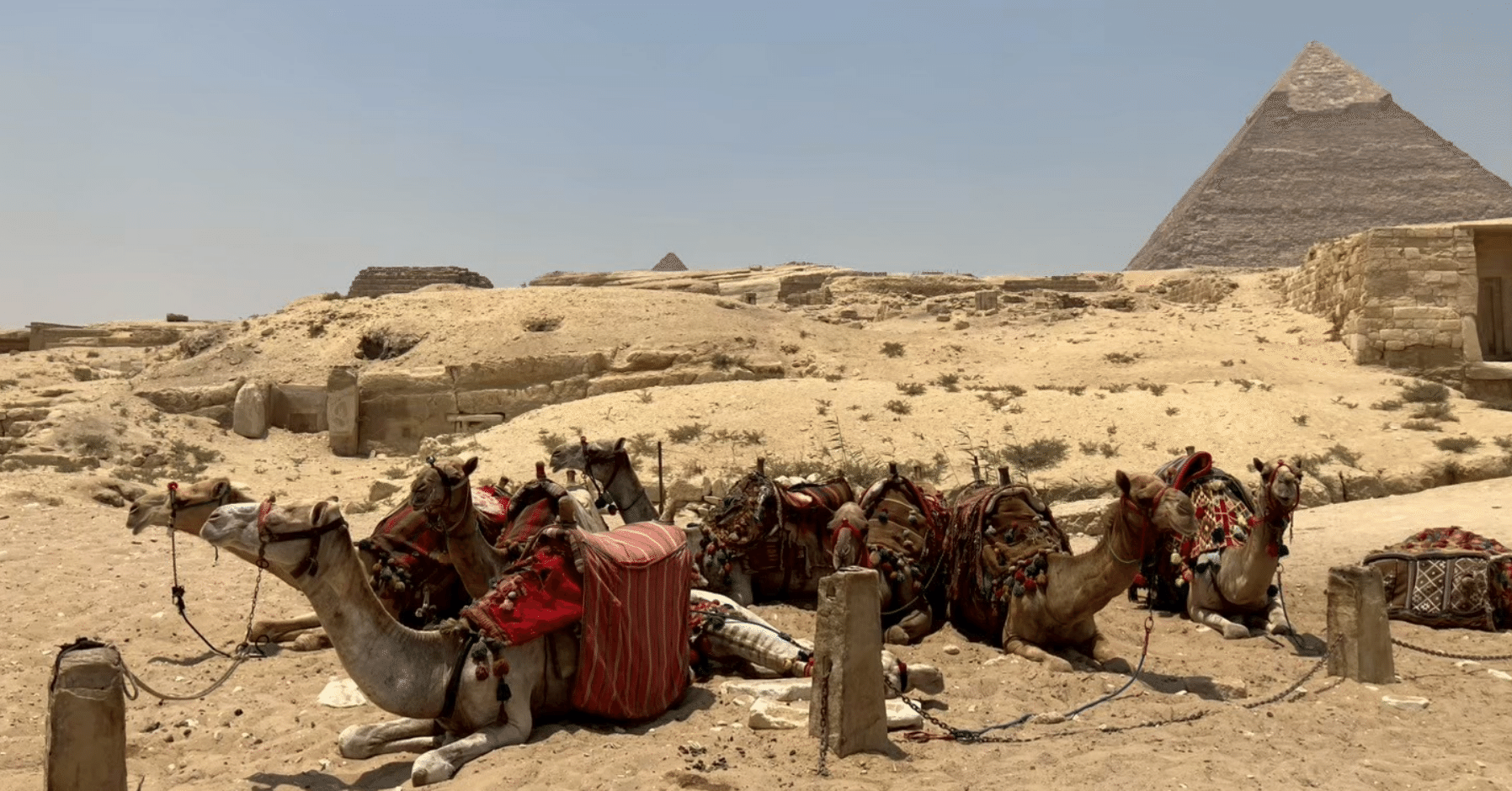 真夏のエジプトで1時間歩いてピラミッドに行った話 (2025年7月)｜旅