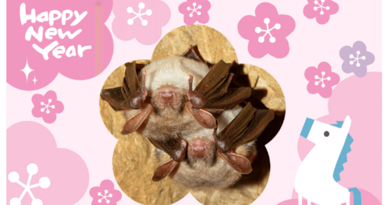 謹賀新年 from bats｜樹山 瞳
