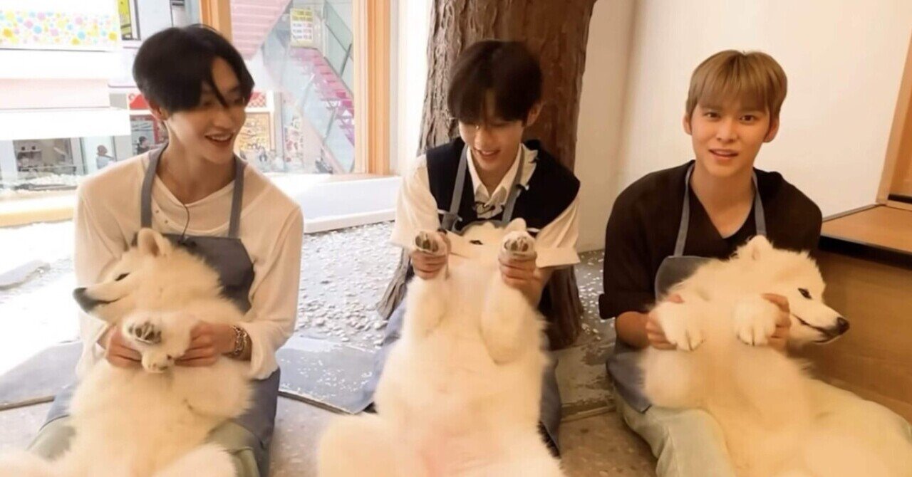 2025年忘れたくないRIIZE｜そそそそそんちゃん。