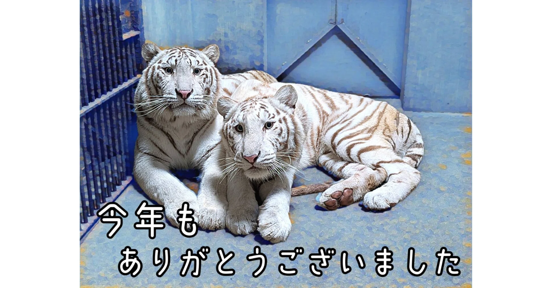 年末最後の面白画像｜宇都宮動物園【公式】