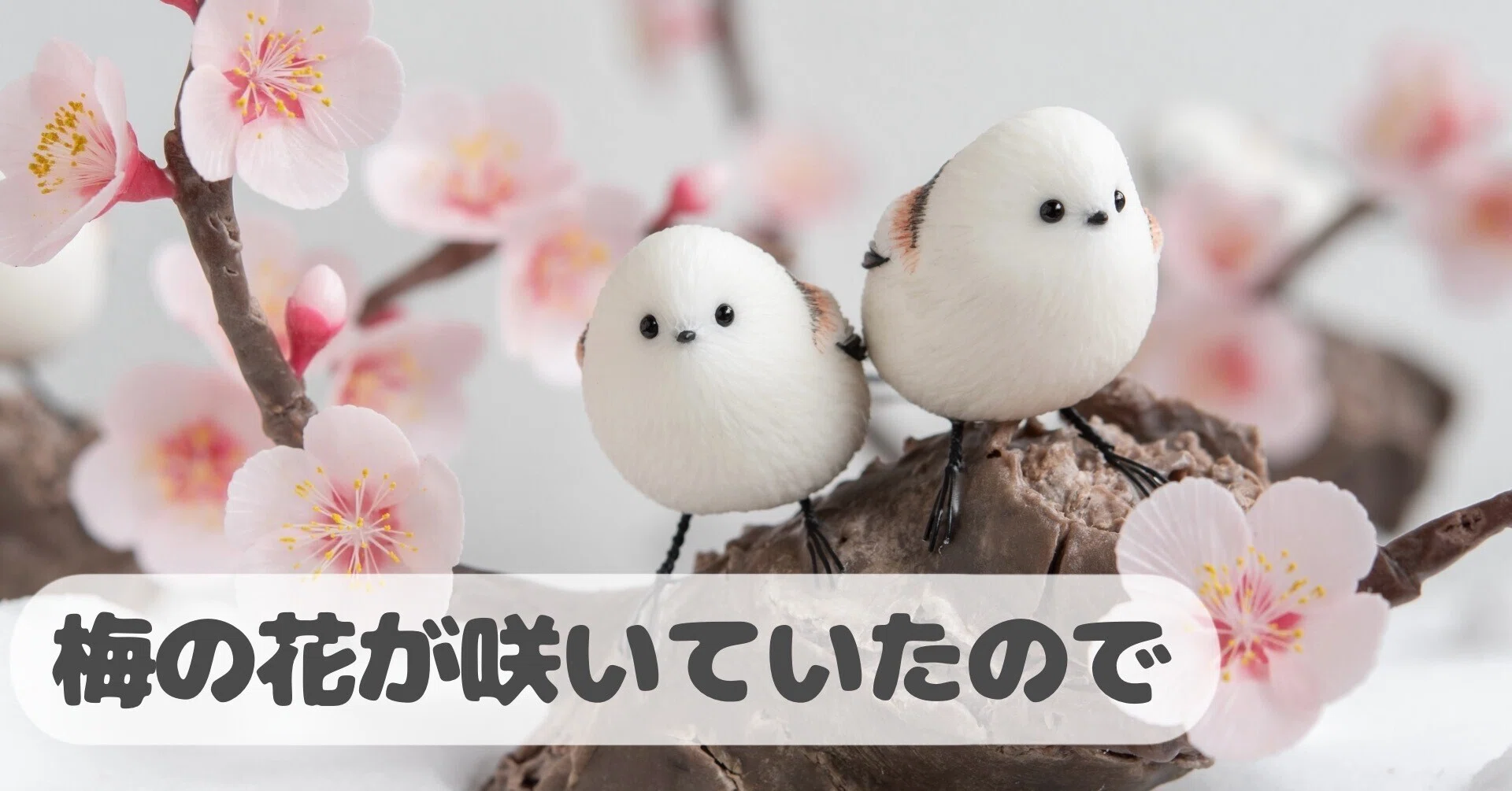 梅の花が咲いていたので｜orange.sky シマエナガとその仲間達