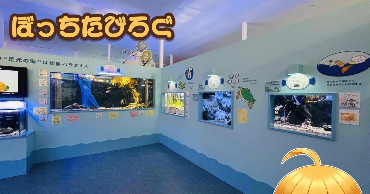ぼっちたびろぐ in 幼魚水族館｜星空照美🌟🌠