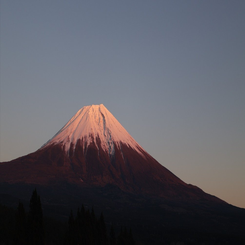 2025年キャンプ記 ～でっかい富士山でキャンプ納め TREE LINE chillax