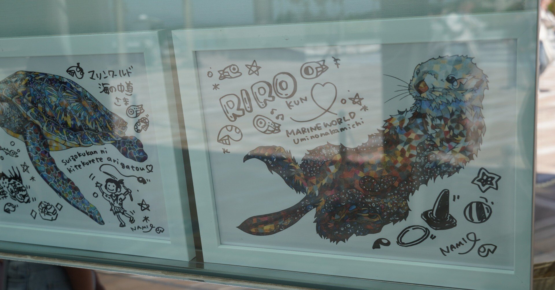 2025年海の中道振り返り｜ロフタス