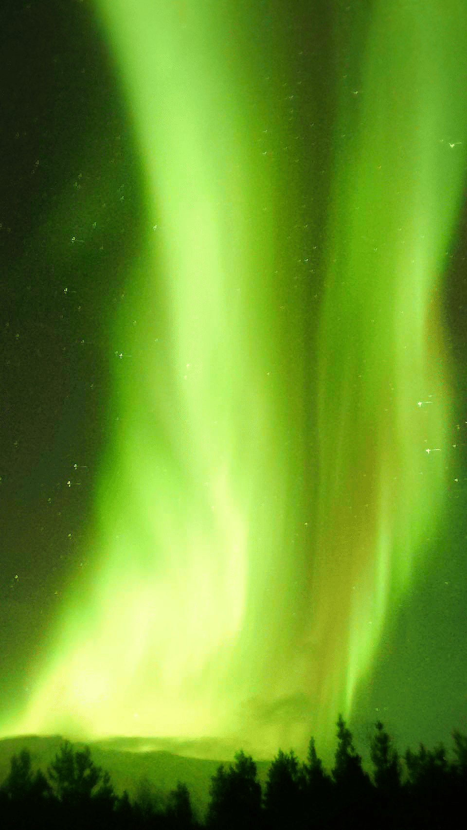 悪天候の極夜にオーロラを追い求めて🇳🇴｜ドイツ田舎暮らし｜Kiki⁂