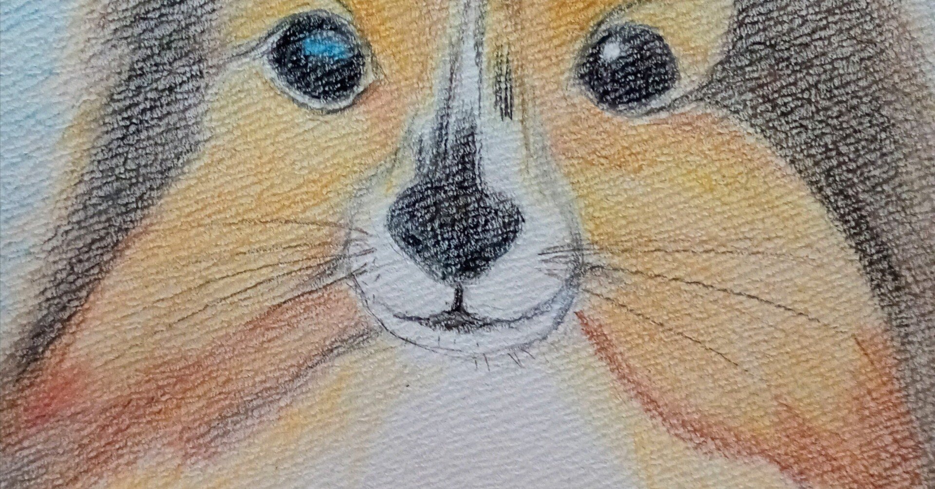 色鉛筆画 色鉛筆の楽しみ方 – PINOGRAFICO まつもとりょうた