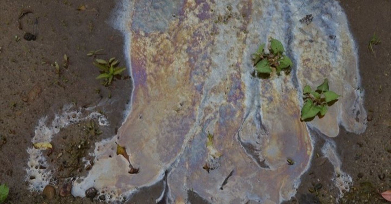 なぜ 植物図鑑か を読んでから撮った写真 鉄人 Note