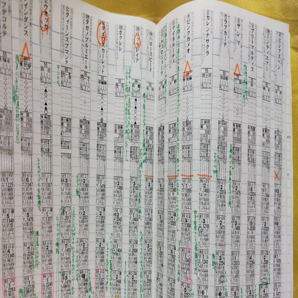 発見！競馬ノート！｜万吉の母