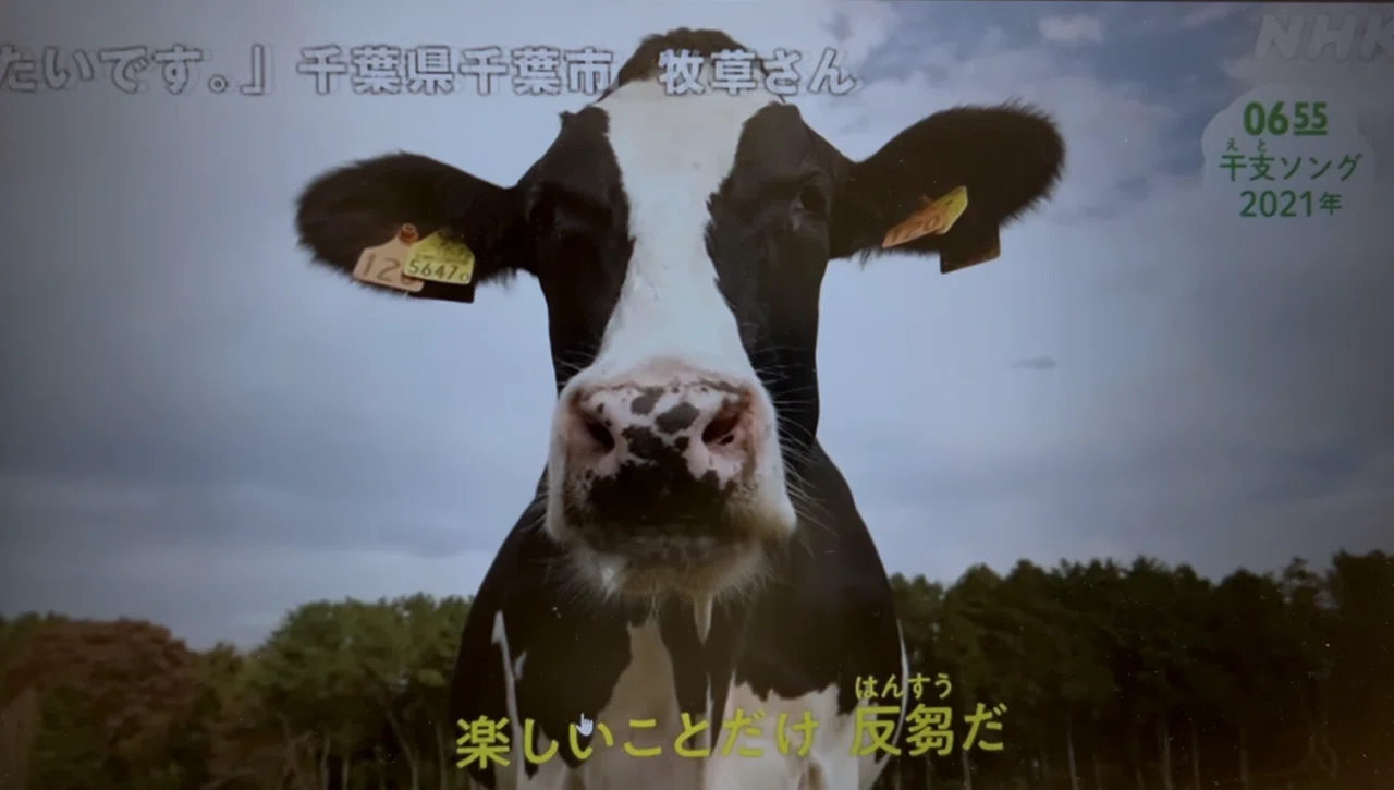ヤーレンソーラン北海道♪『うしうしソング』🐄 Eテレ 0655｜つむりん