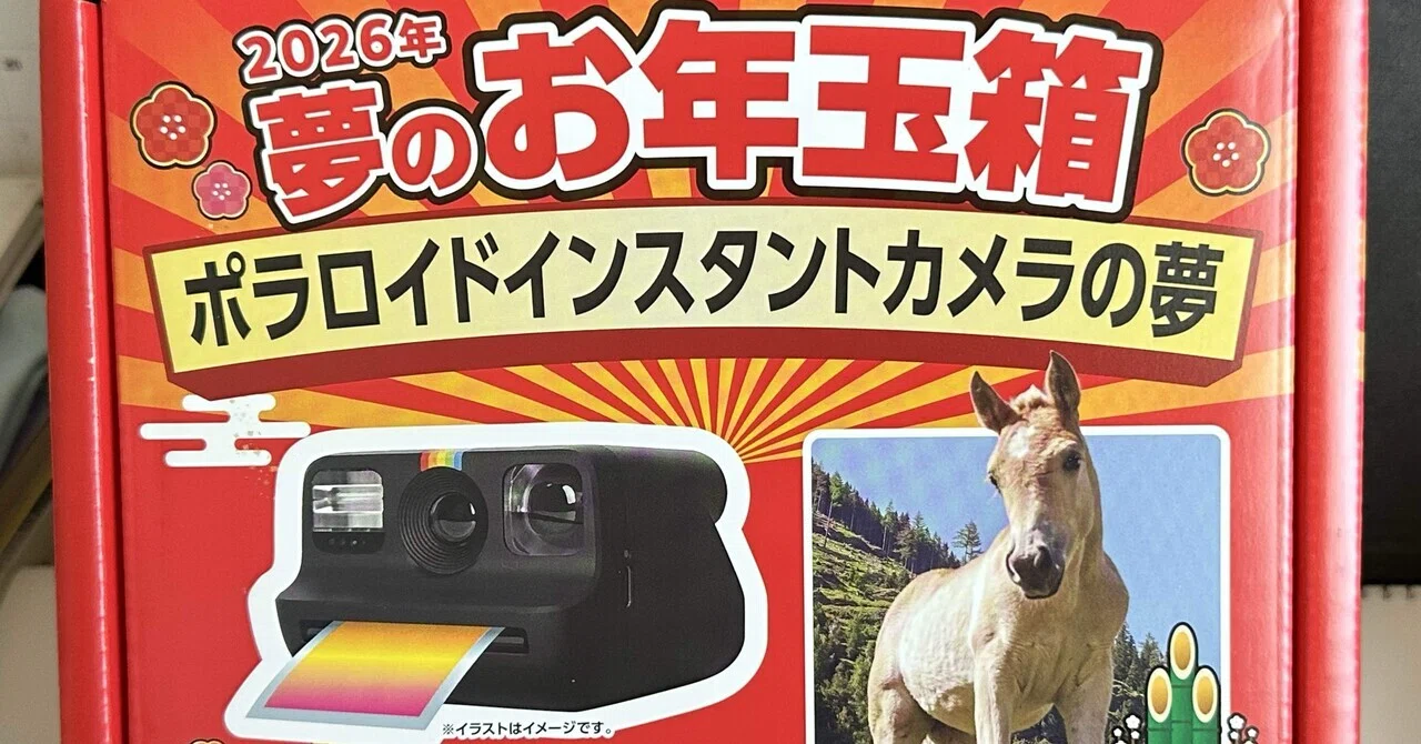 ヨドバシお年玉箱ポラロイドカメラの夢2026！｜波多波多