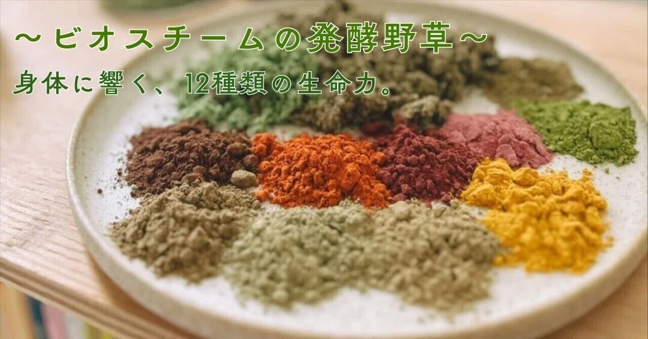 12種類の野草と「発酵」が織りなす蒸気の力。野草のエネルギーを経皮 