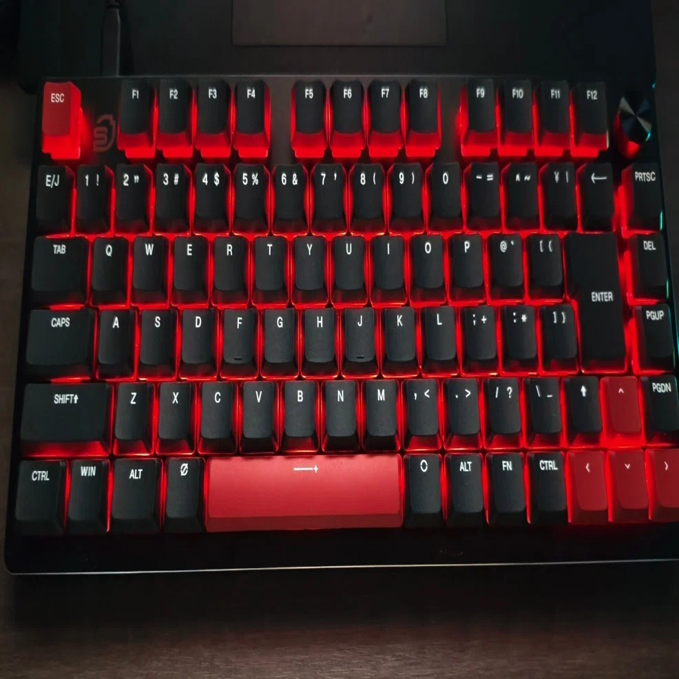 レビュー]初キーボードでガチマイナーキーボードを買ったら少し残念