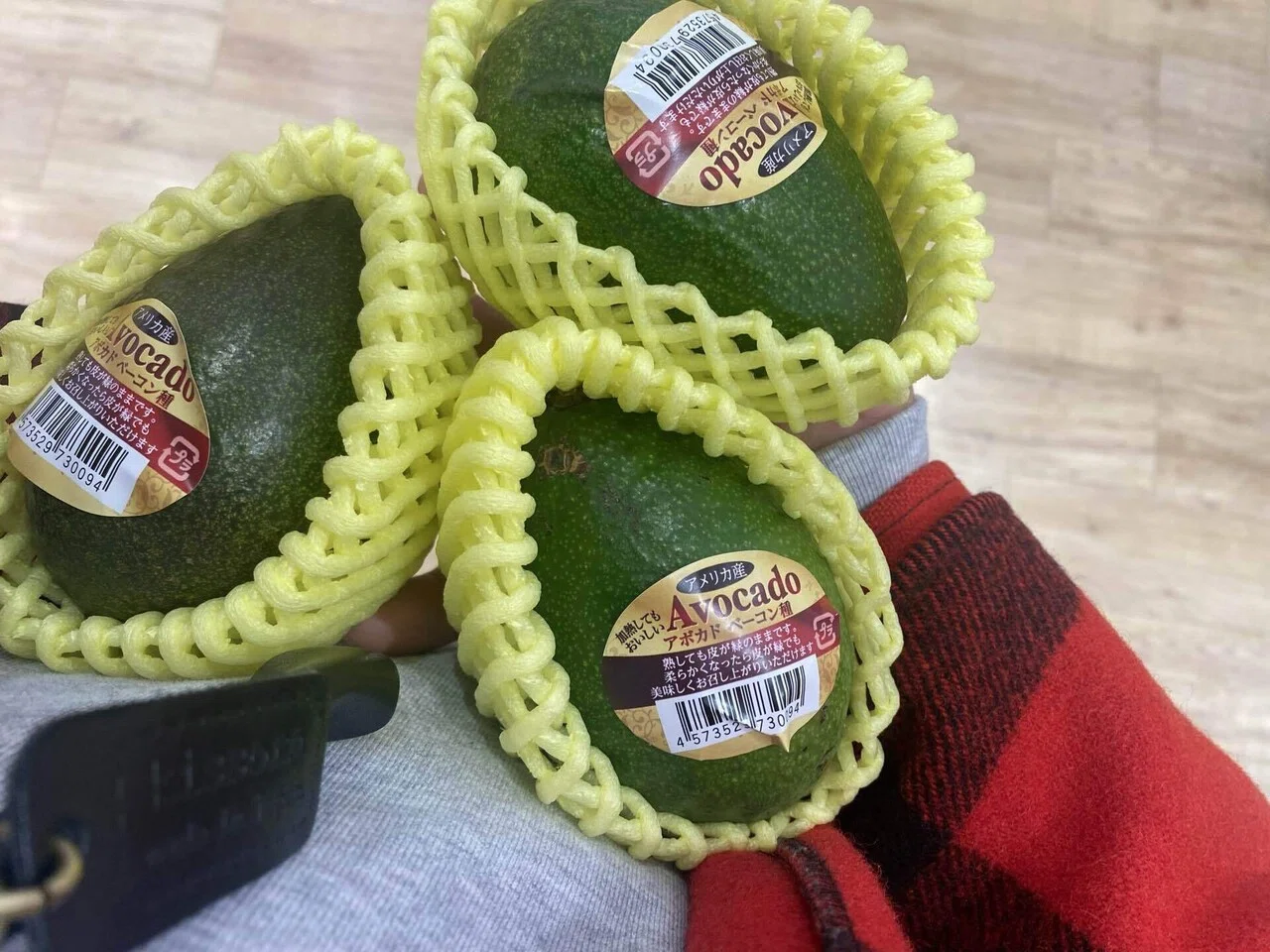 アボカド買ってきた！欲しかったベーコン種の話｜zacco method研究所🇯🇵