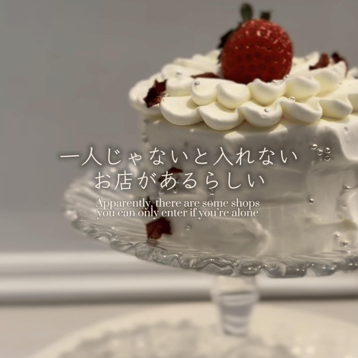 クリスマスにひとり用ホールケーキを食べた話￤ショートケーキ