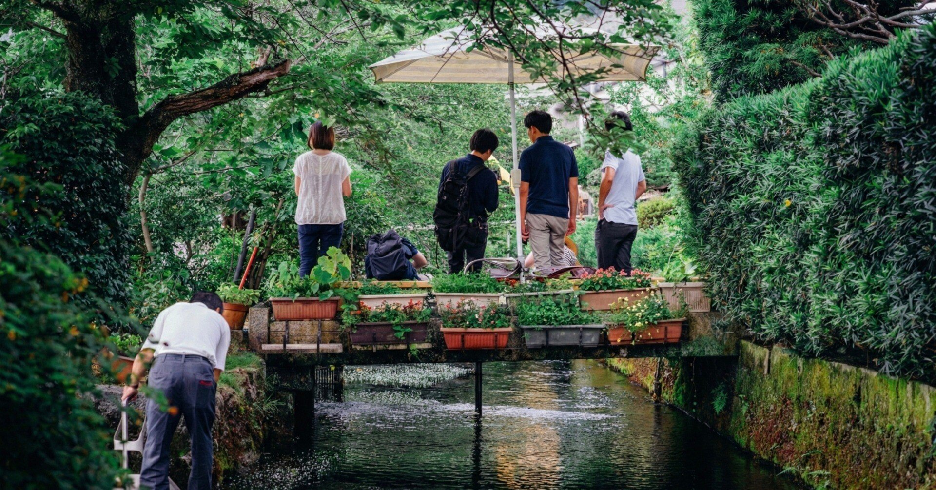 醒ヶ井の梅花藻を見に── 地蔵川の清流と夏の涼（滋賀）｜Sakak