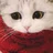 猫足三粒@高知
