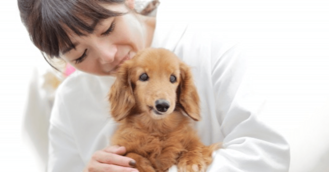 くせのうた 星野源の歌について思ったこと ソラハ アオイ Note