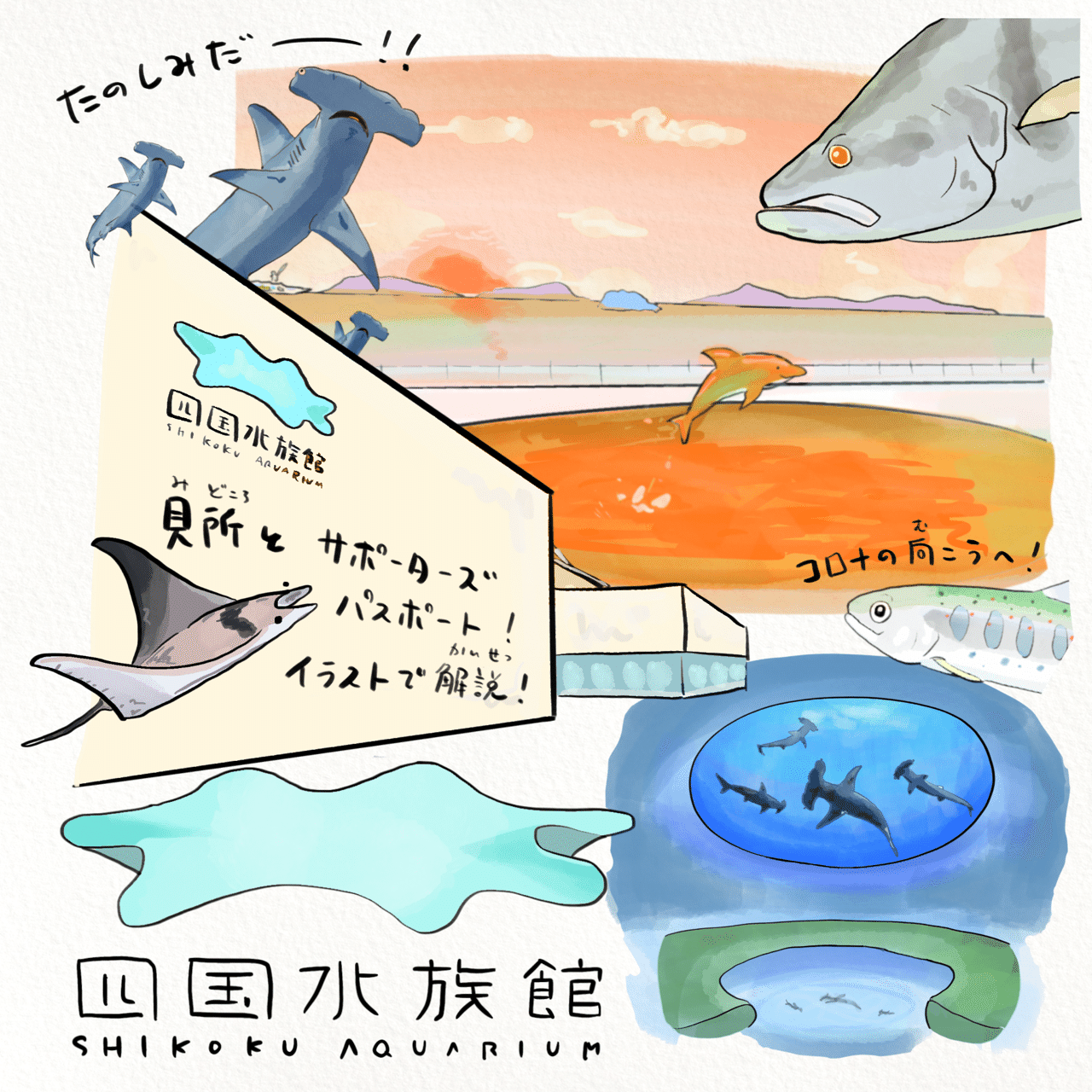 四国水族館は第3の視点から楽しめる水族館の革命だ かわちゃん さかなのおにいさん Note
