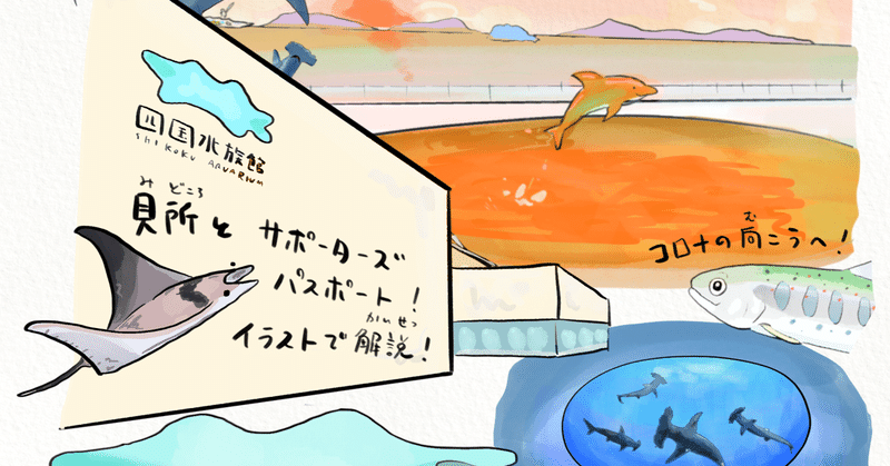 四国水族館は第3の視点から楽しめる水族館の革命だ かわちゃん さかなのおにいさん Note