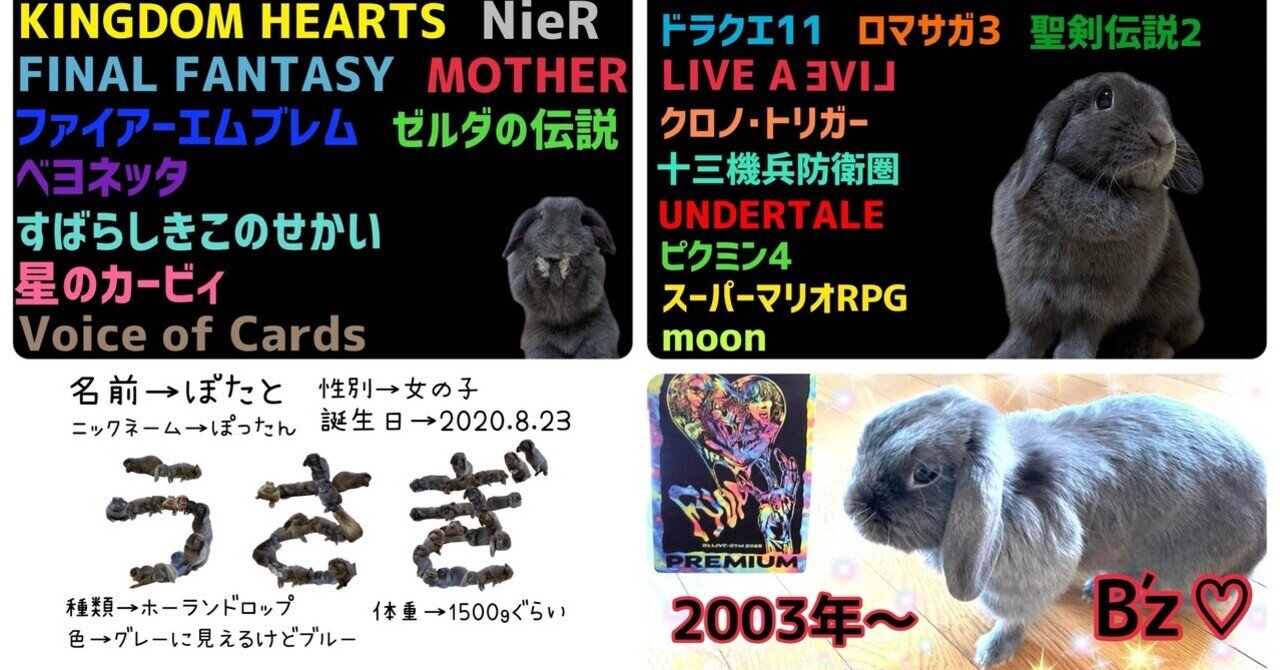 自己紹介＆うさぎ紹介2026｜げーらびーず