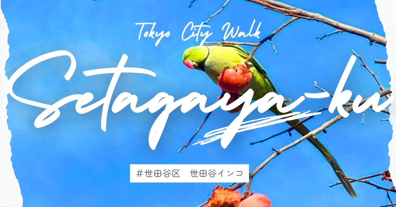 世田谷の高級住宅街を「住まい」に選んだインコの正体｜歩くTOKYO研究員