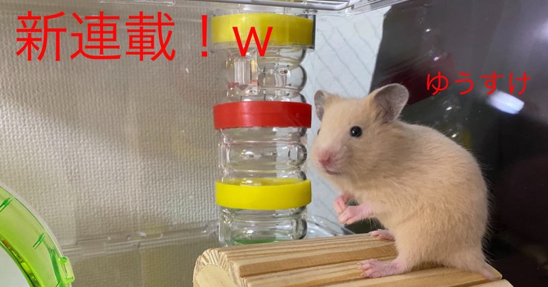 ハムスター飼育日記1日目 4 26 サトウショウヘイ Note