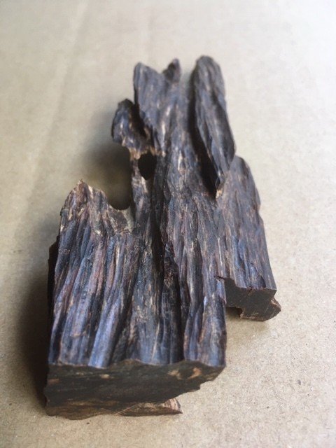 さまざまな伽羅、さまざまな立ち方｜山田眞裕（麻布 香雅堂 主人）