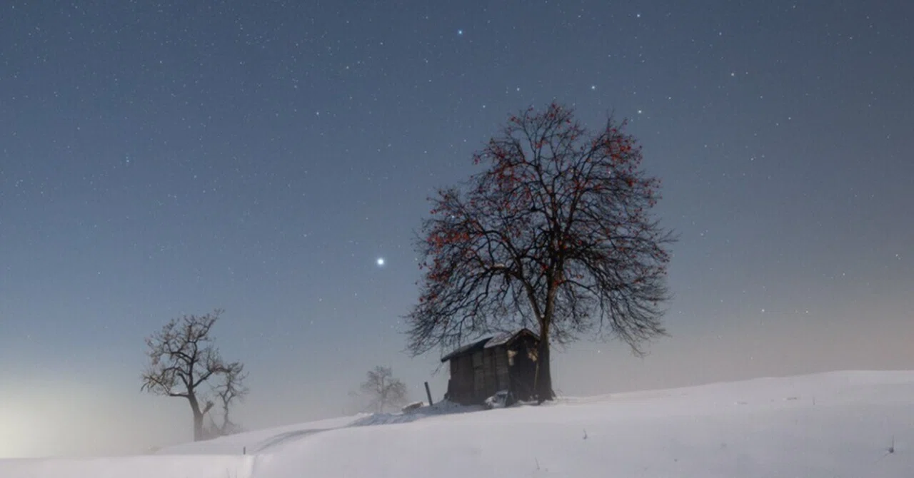 月明りの雪景色と冬の星座｜星空写真家 × 会社役員 | 「好き」を「得意 