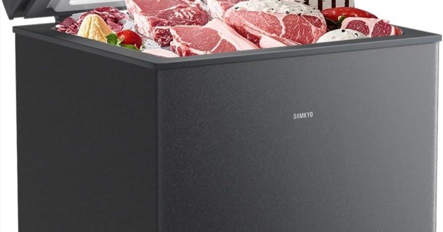 冷凍SM100匹 SAMKYO 年末感謝祭セール!SAMKYO 冷凍庫 100L 上開き式 家庭用 8段階