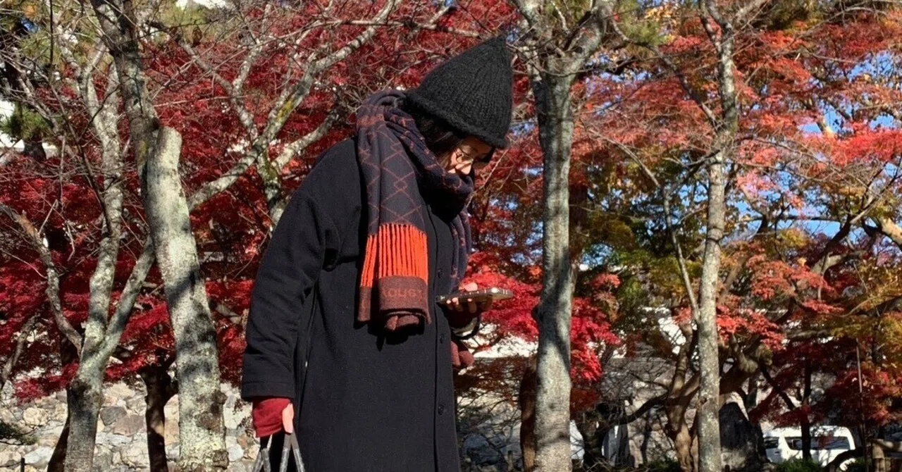 Writing about Ennoshita and the Chinese Language｜エンノシタ