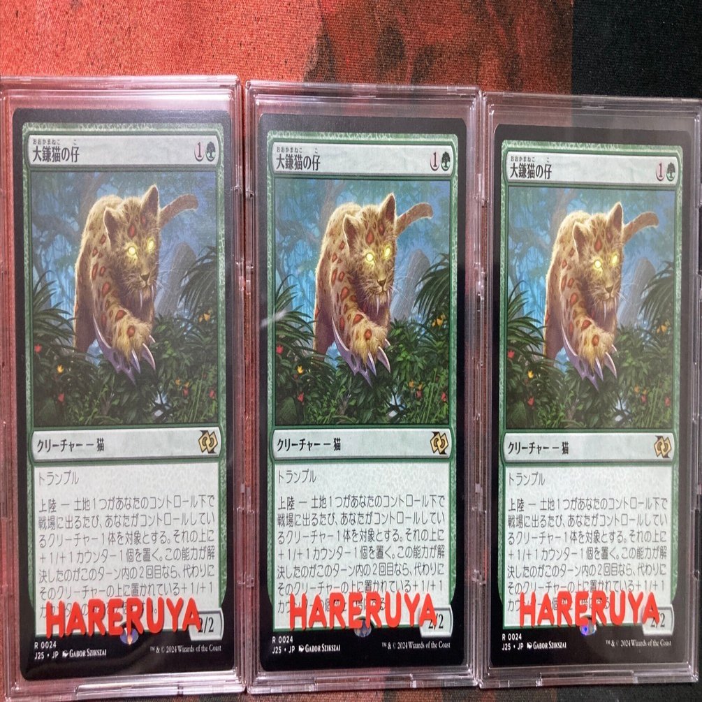 2025年の振り返り｜あじていたあ