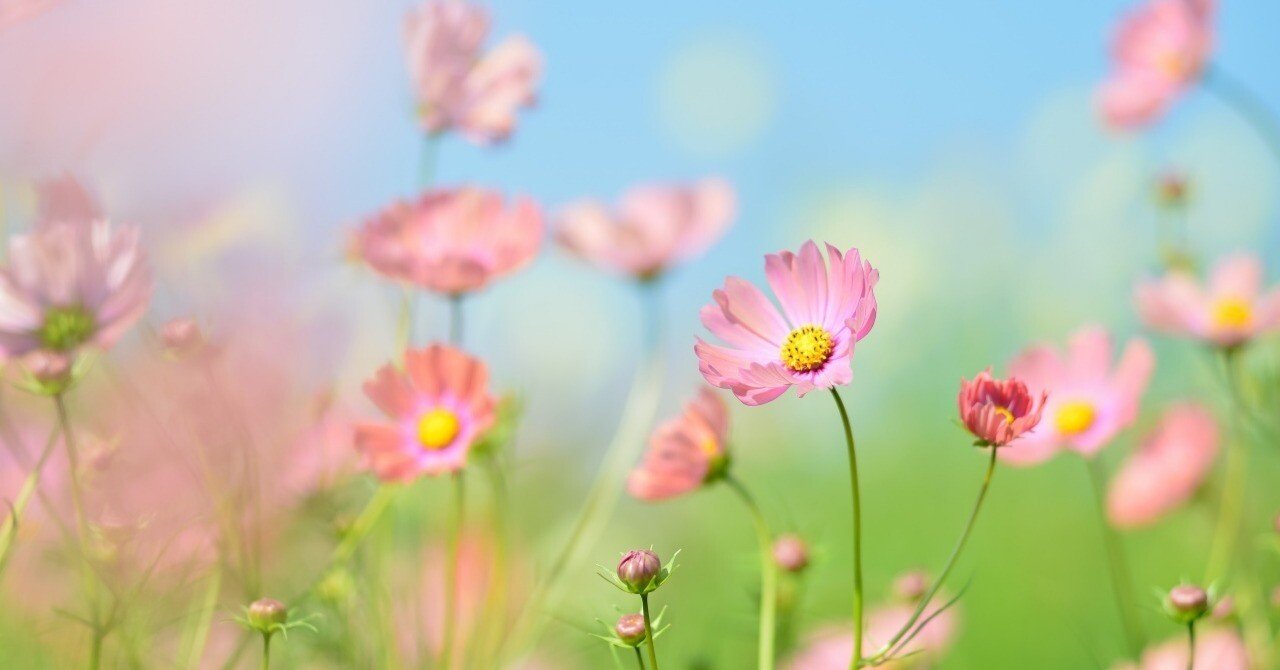 本音レビュー】Zynet ロボット掃除機 3000Pa強力吸引 150分間連続稼働