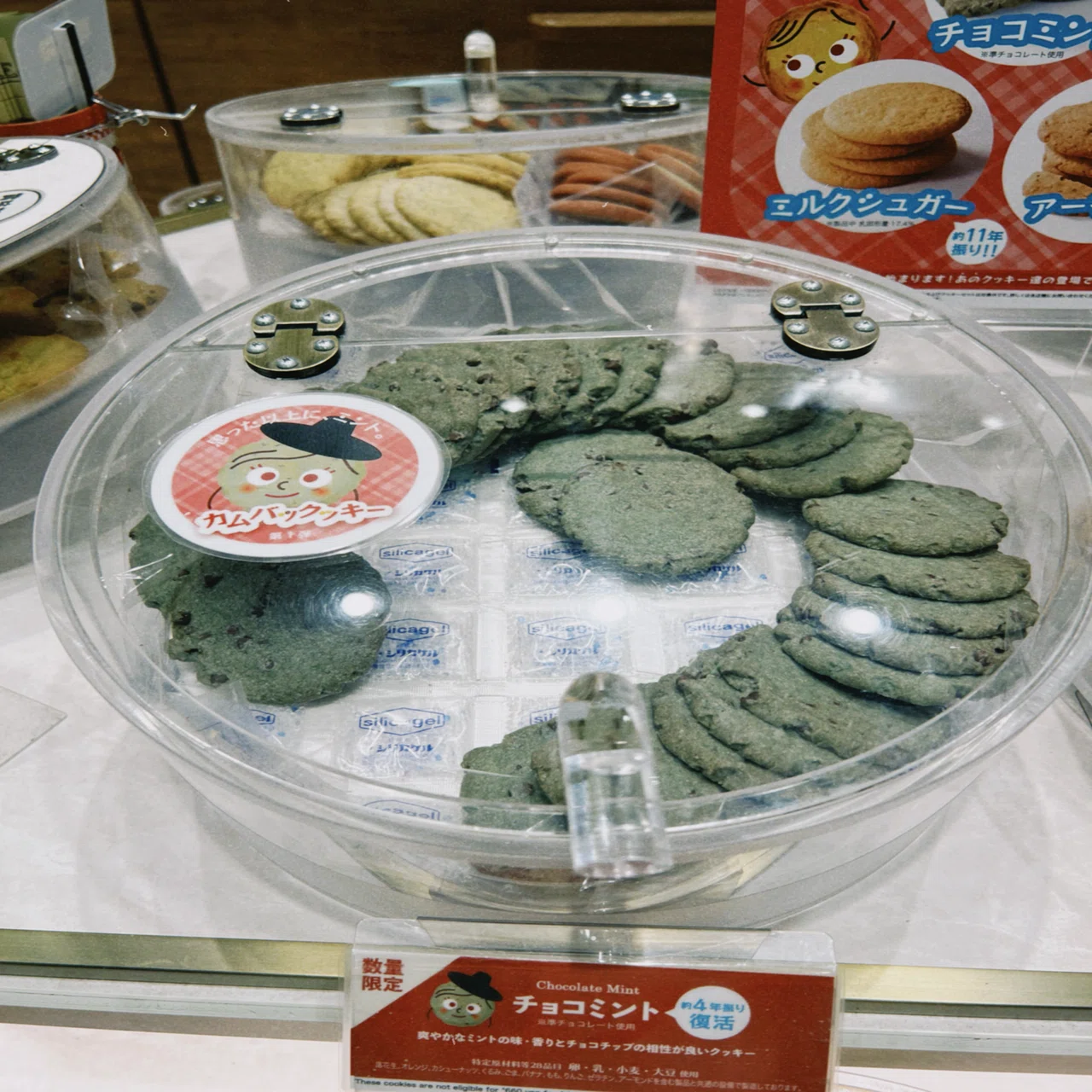 2025年チョコミント記録【約50商品】｜Yoko