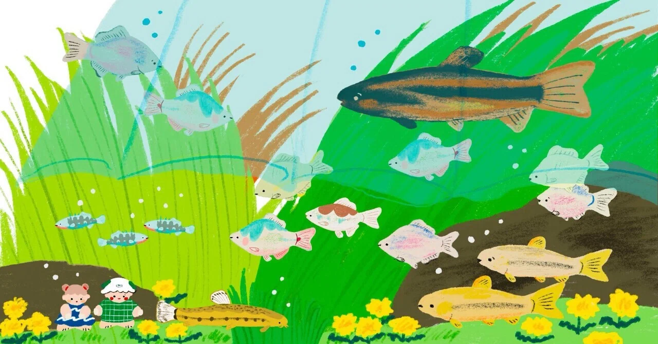 お魚と水辺の生き物を描いた2025｜木溪そのみ