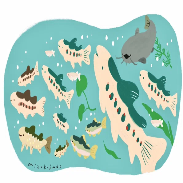 お魚と水辺の生き物を描いた2025｜木溪そのみ
