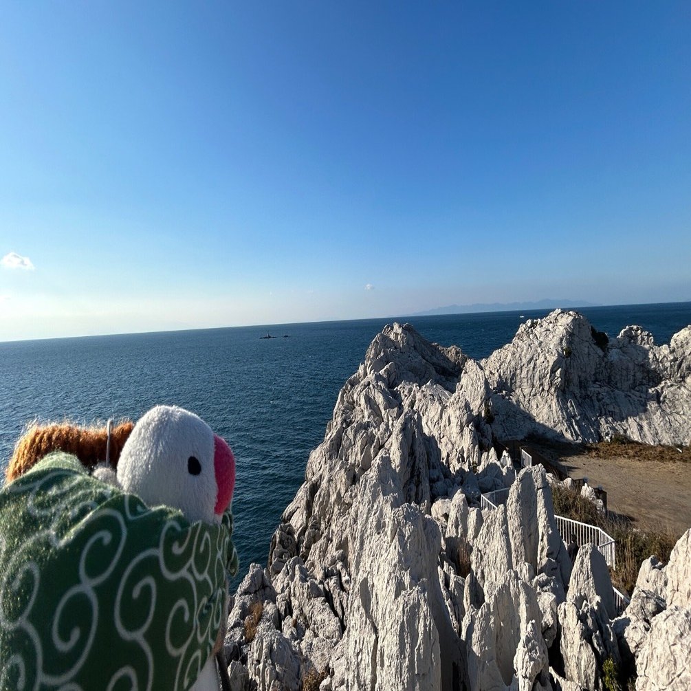 文鳥隊長と行く！和歌山の歴史と自然を巡る旅 エピソード③ 日本の