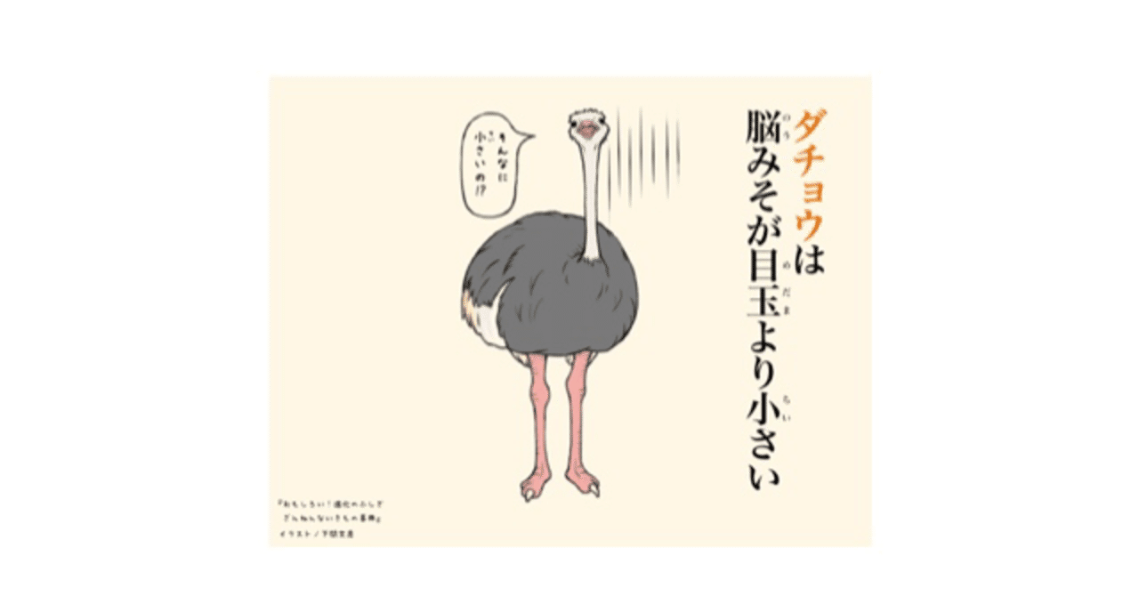 私 来世はダチョウになりたいの 真菜美 Note