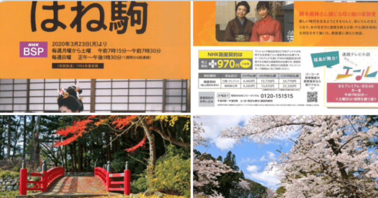 は ね 駒 あらすじ