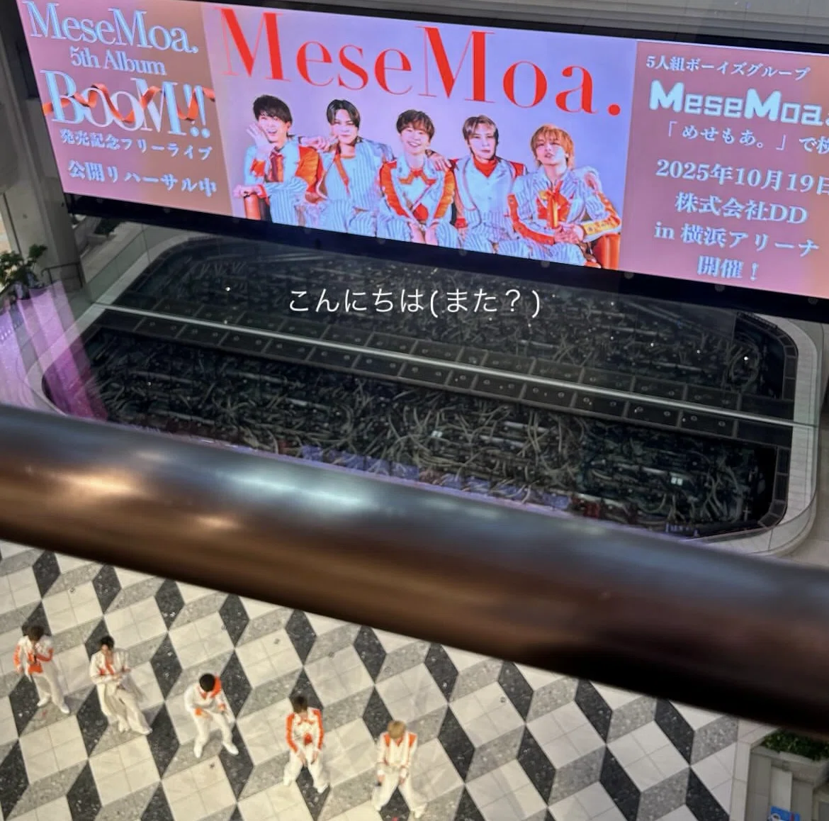 ひよっこオタクの2025年まとめ🌟｜(≡^.^≡)♪