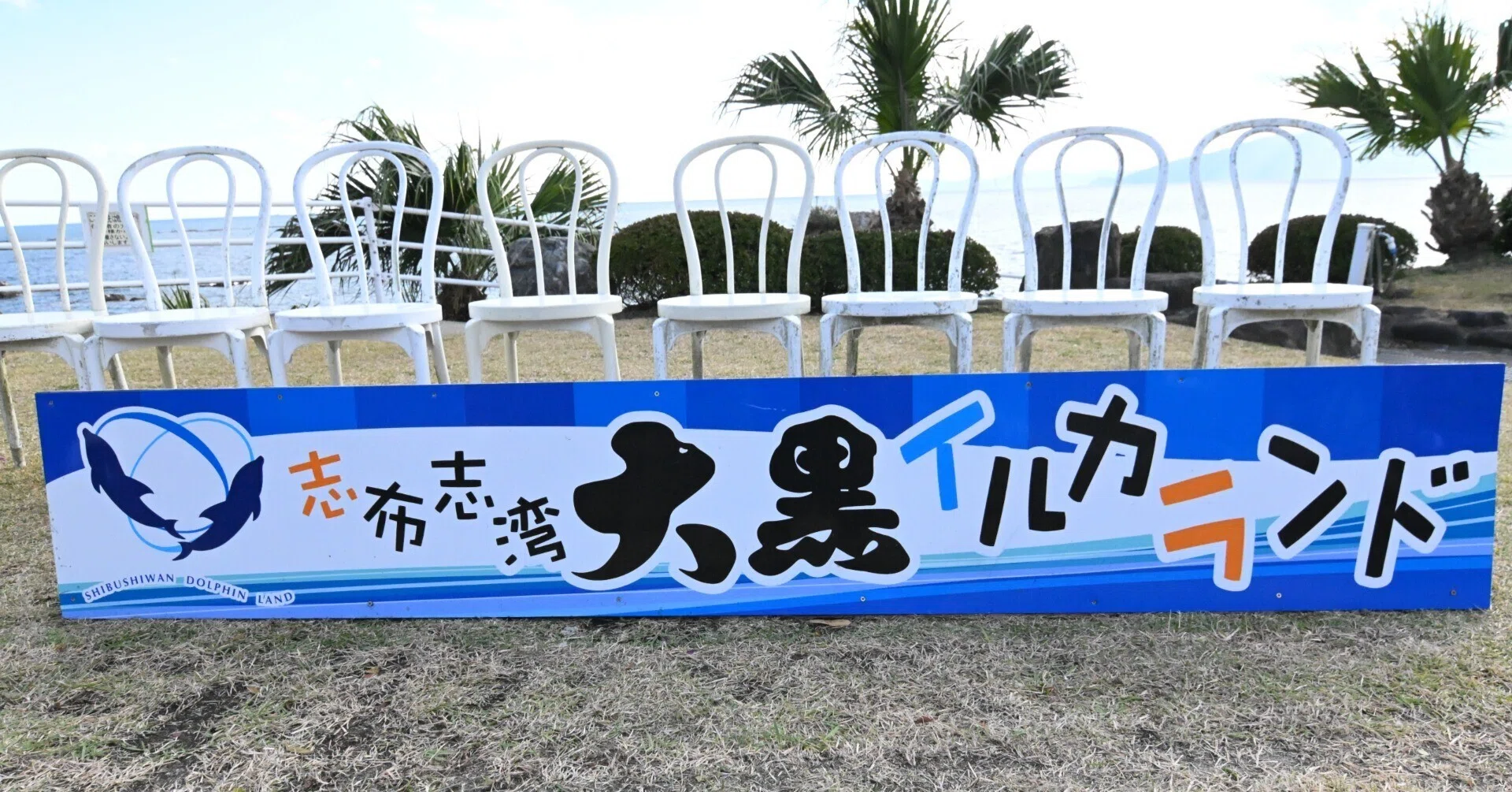 なかなか　イルカ　スタンド　オブジェ　看板 20251229_志布志湾大黒イルカランド【Nikon Z50IIと水族館】｜山ネズミ