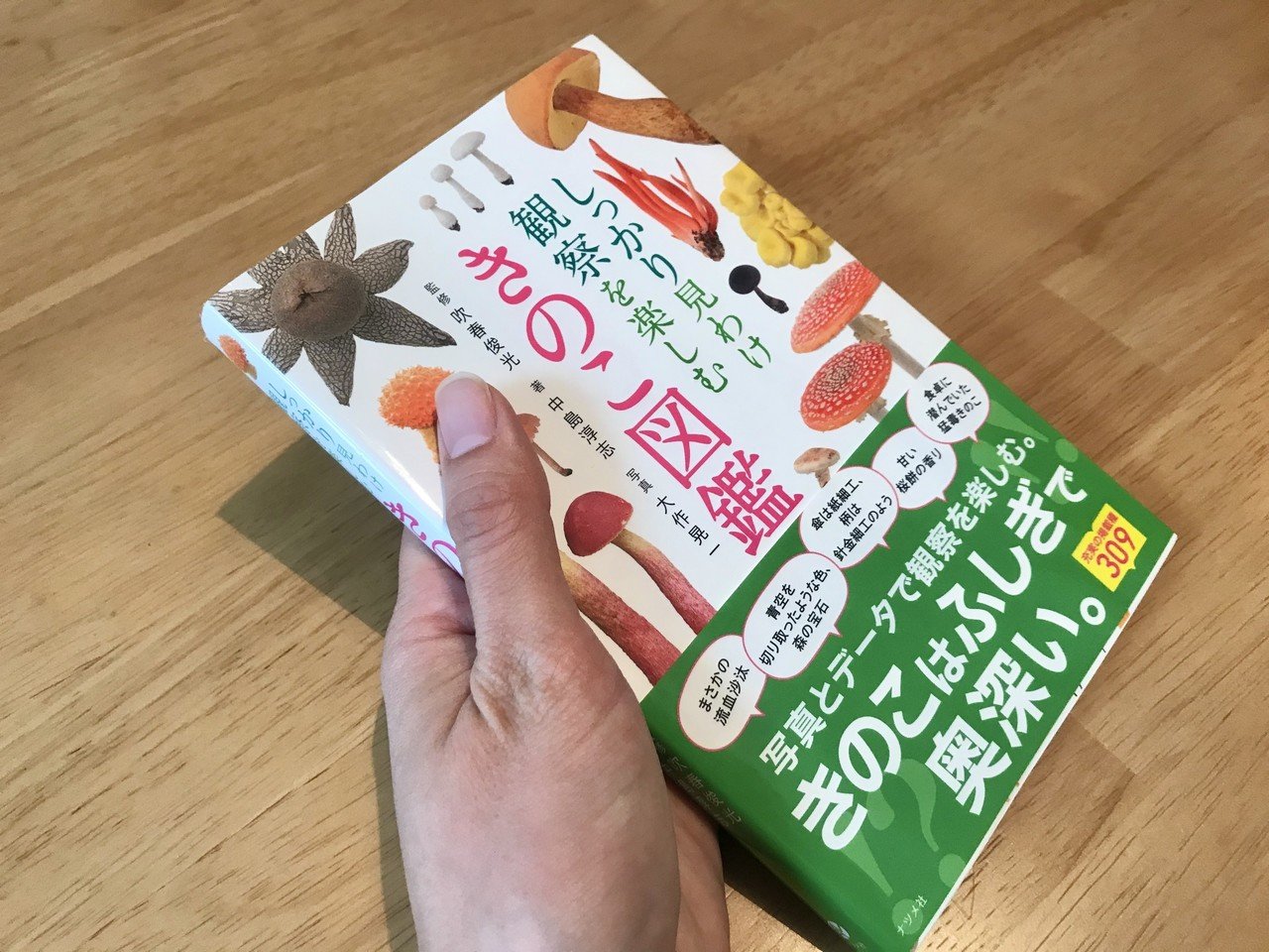 おうちdeきのこ*おすすめきのこ図鑑|ちょこすき~☆きのこ おうちdeきのこ*おすすめきのこ図鑑|ちょこすき~☆きのこ