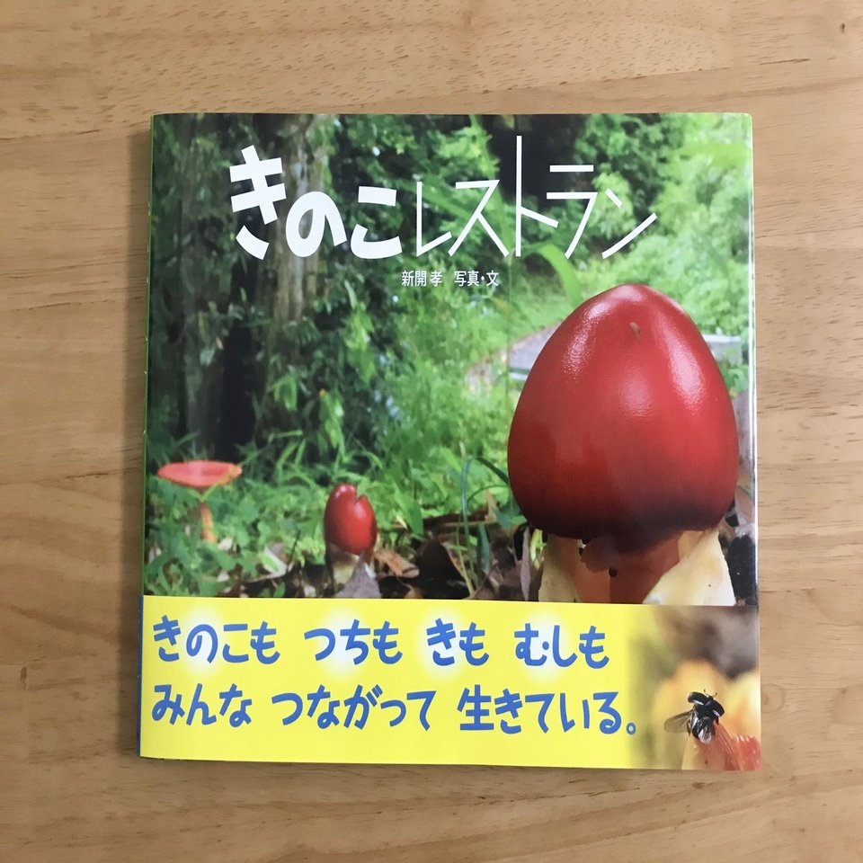 おうちdeきのこ＊おすすめきのこ図鑑｜ちょこすき～☆きのこ