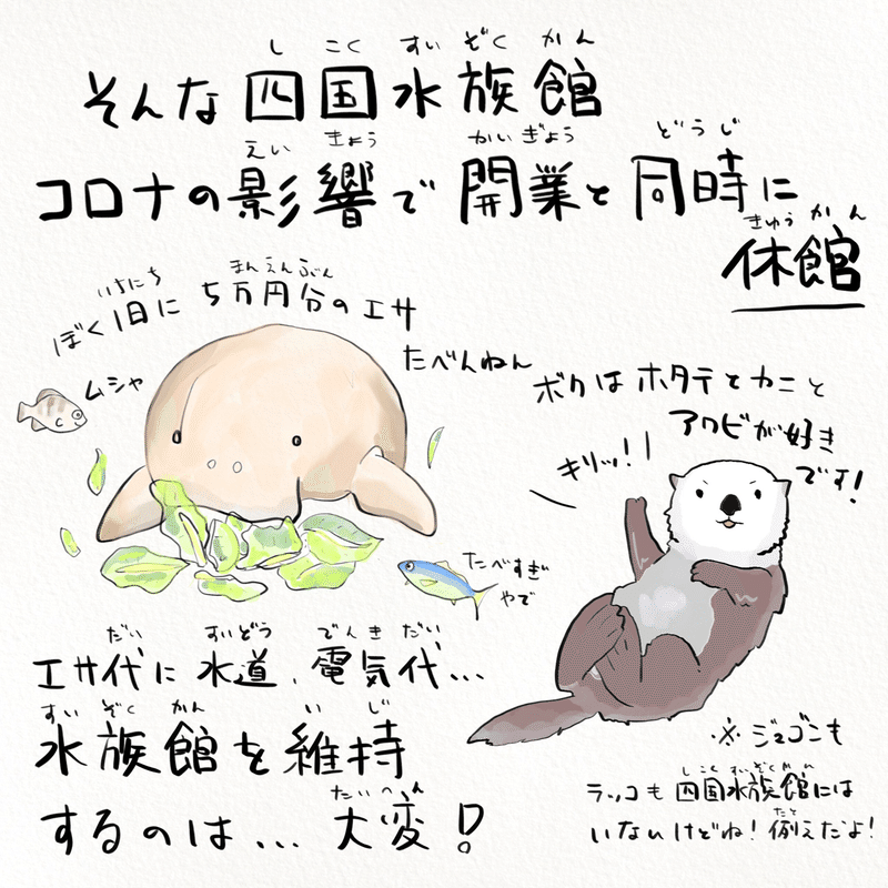四国水族館は第3の視点から楽しめる水族館の革命だ かわちゃん さかなのおにいさん Note
