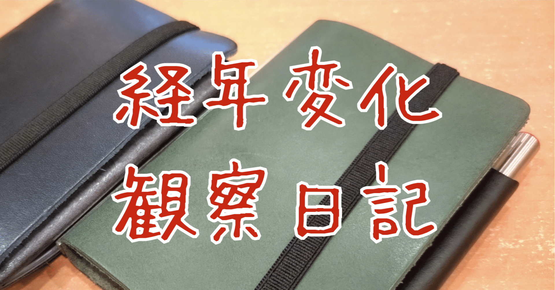 M5 PLOTTER ブライドル グリーン【購入1日目】｜ずØ。