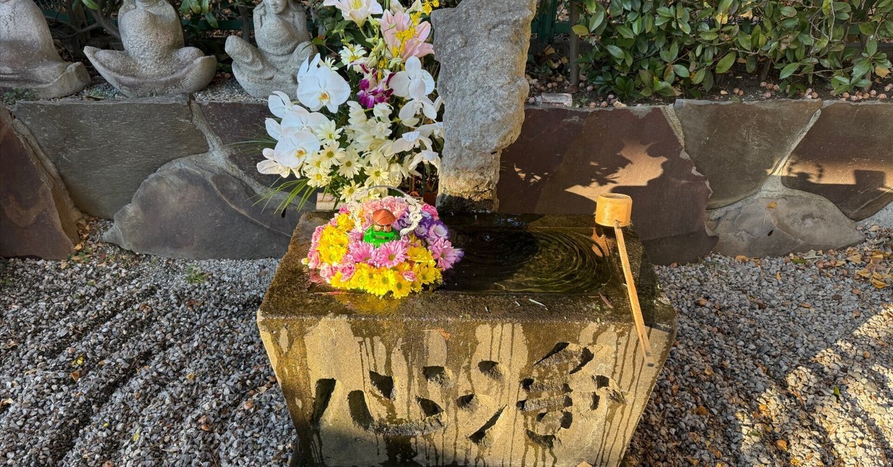 ���o���摜