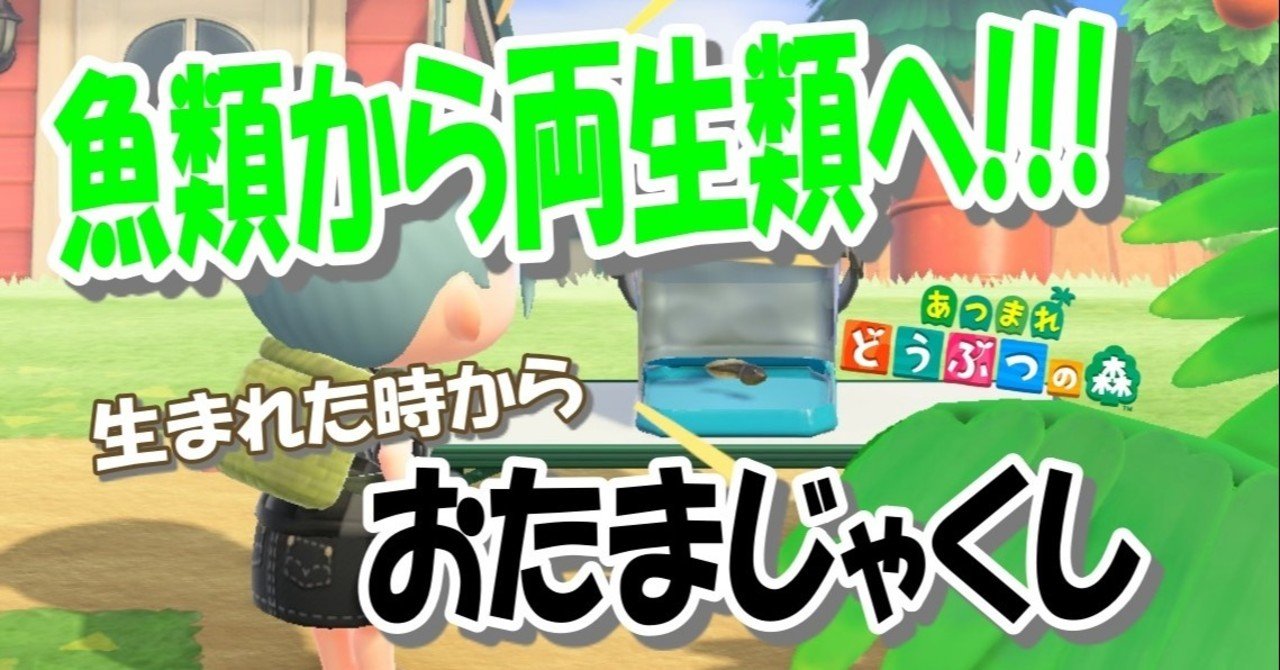 あつ森から学ぶ生物の話 オタマジャクシはどうやってカエルになるの 説明できますか 緑木リョク Note あつ森から学ぶ生物の話 オタマジャクシはどうやってカエルになるの 説明できますか 緑木リョク Note