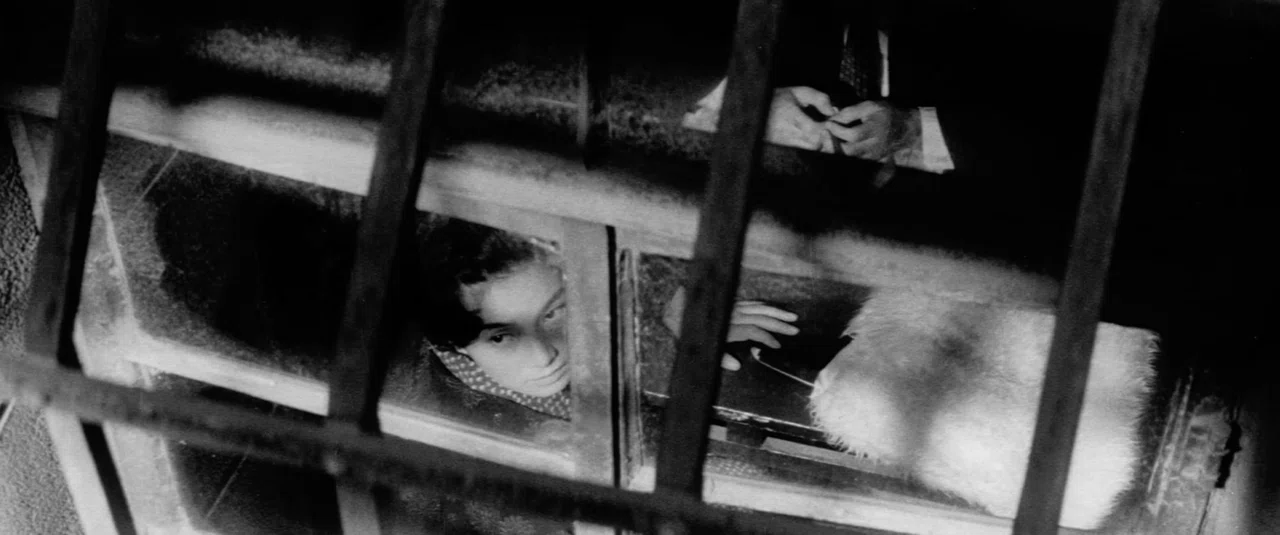撚られた命、切れぬ意志 ― 今村昌平監督『にっぽん昆虫記』『赤い殺意